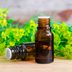 11 Essential Oils That Will Take Years Off Your Skin