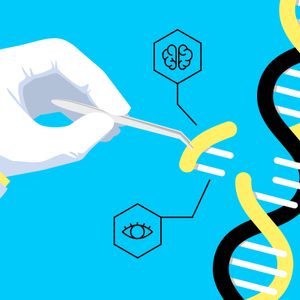 DNA/genes illustration concept