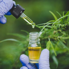 CBD oil and plant