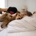 Should Your Dog Be Sleeping in Your Bed? Here's What the Experts Say