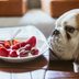 Can Dogs Eat Strawberries? Here's What Veterinarians Say