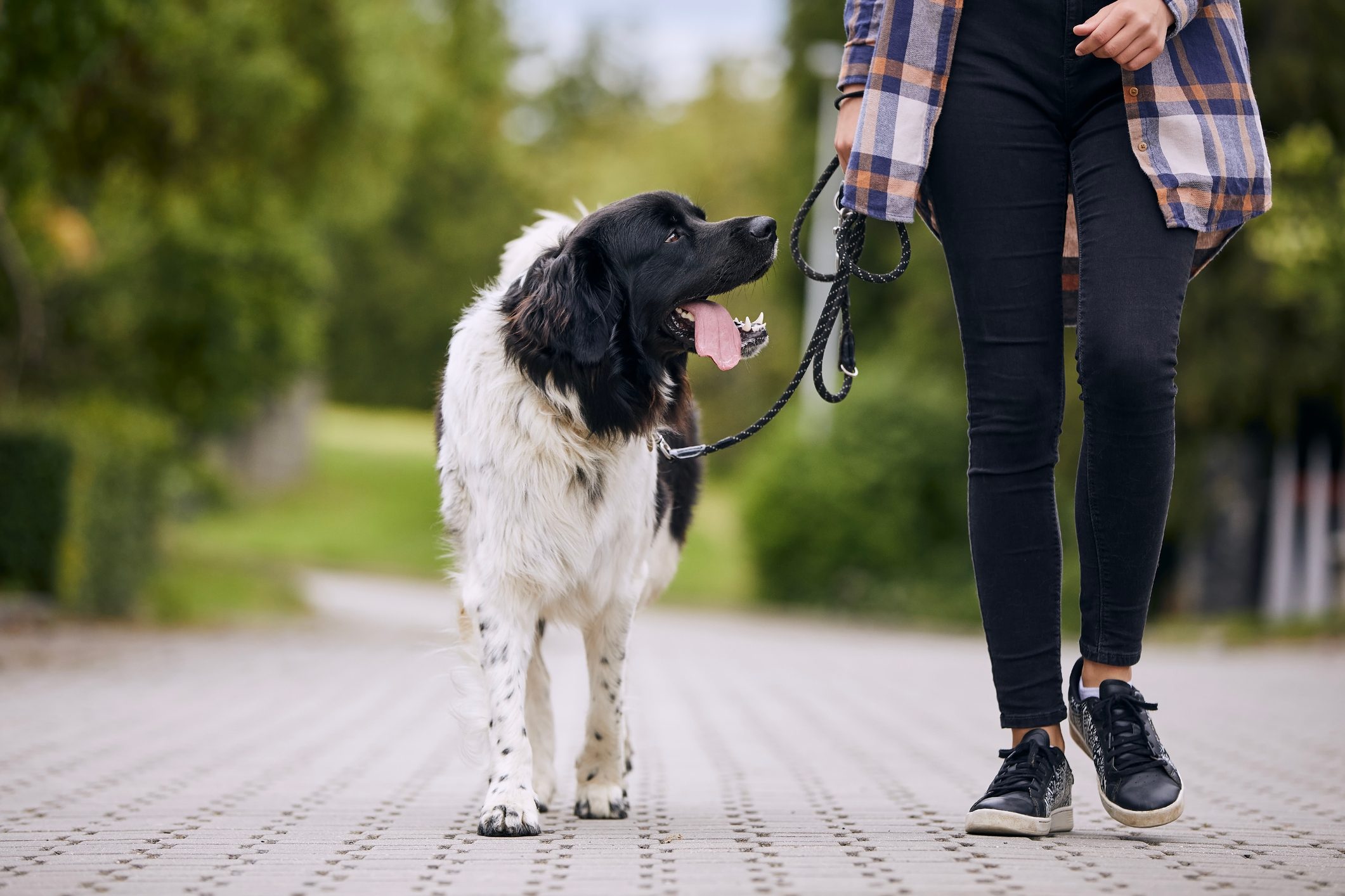 Walking for This Long Each Day May “Significantly” Reduce Osteoporosis Risk, Says New Study