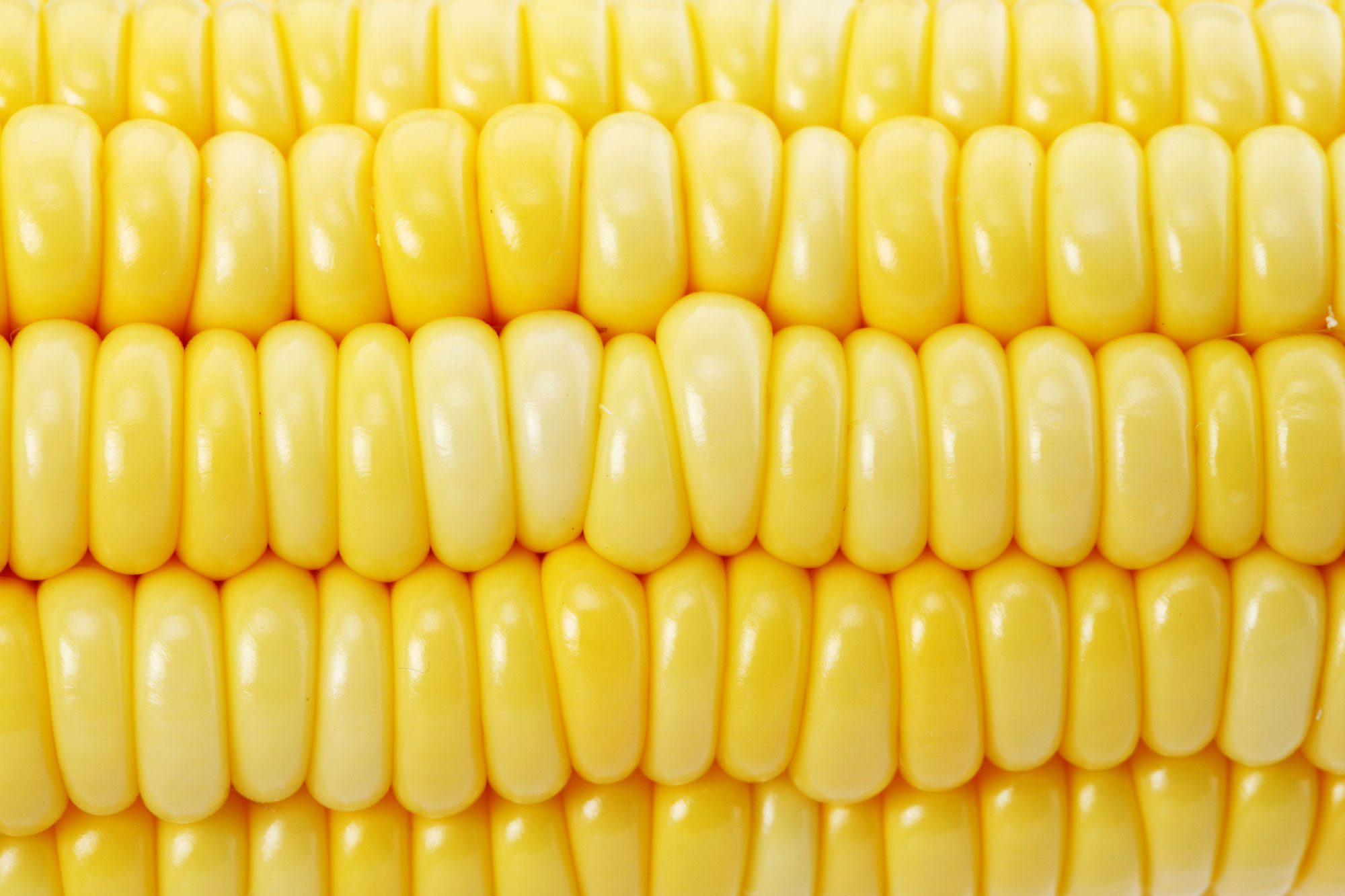 I Ate Corn Every Day for a Week—Here’s What Happened