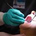 How Long Until a Tooth Infection Kills You? An Expert Doctor Answers a Surprisingly Common Question